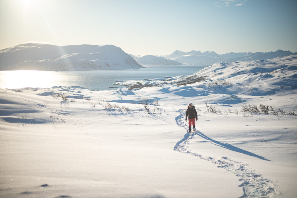 zimowa wędrówka w rakietach śnieżnych nad fiordem w północnej Norwegii